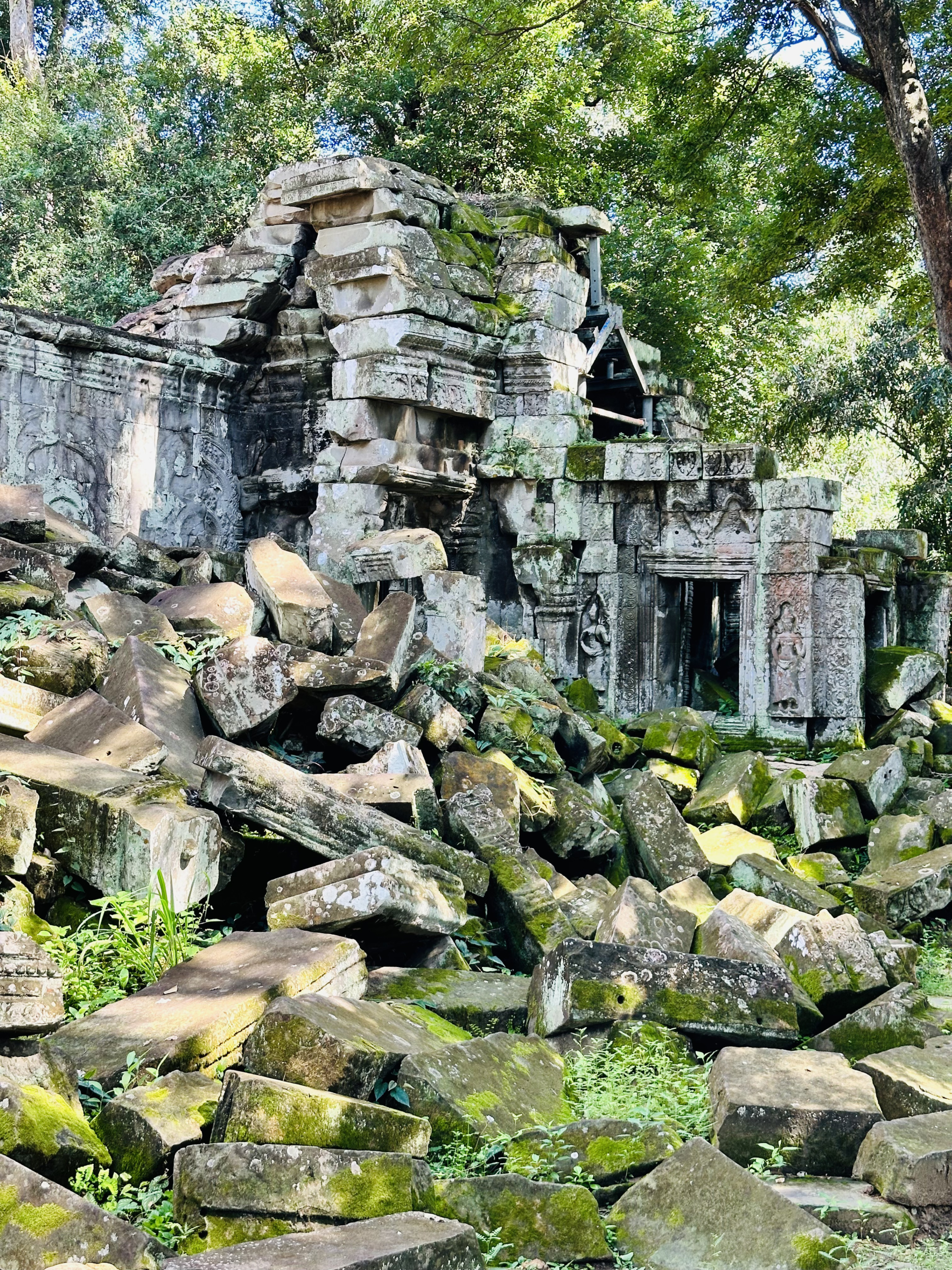 Ta Prohm Tomb Raider Temple
